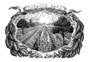 Tobacco land hand draw vintage engraving style black and white clip art isolated on white background vector