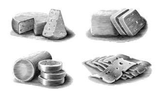 Cheese collection hand drawn vintage engraving style black and white clip art isolated on white background vector