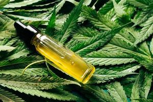 Cannabis oil in the dropper bottle with green leaves. Alternative medicine concept. photo