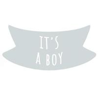 It's a boy. Gender party. Baby shower vector