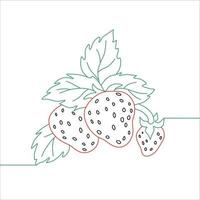 Vector of a Strawberry