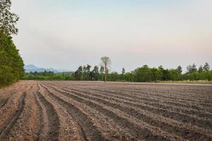 arado de agricultura preparar el suelo para comenzar a plantar tierras de cultivo de campo de yuca foto