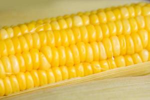 cooked sweet corn background, ripe corn cobs steamed or boiled sweetcorn for food vegan dinner or snack photo