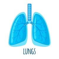 Human Lung icon in flat style isolated on white background. Healthcare and medical concept. Vector illustration.