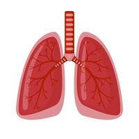 Human Lung icon in flat style isolated on white background. Healthcare and medical concept. Vector illustration.