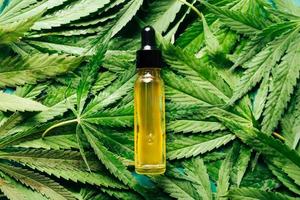 Cannabis oil in the dropper bottle with green leaves. Alternative medicine concept. photo