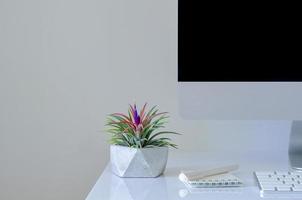 Air plant Tillandsia plants in modern pot put on desk with modern office stationery. photo