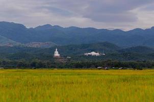 Mountain scence with temple located on it that have golden paddy field in the front. photo
