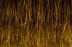Background and texture photo of dry blady grass.
