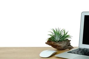 la planta de aire tillandsia, que es una planta moderna puesta en cortar madera vieja del árbol, decora el escritorio de madera en la oficina. foto