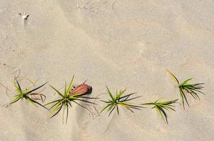 Background and texture photo of sand on the beach.