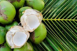 Young fresh sweet Thai coconut fruits with white meat put on its green leaves for summer fruit concept.
