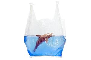bolsa de plástico que sostiene un modelo de juguete de delfín borroso en la superficie del agua aislada en fondo blanco. concepto mínimo del día mundial del océano. foto