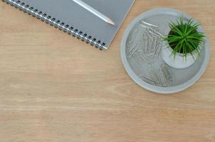 Tillandsia airplant on the wooden desk in office with notebook and pencil. photo