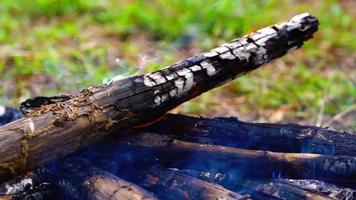 ramas ardientes en el fuego, llama brillante de la hoguera ardiente, acampando en invierno. video