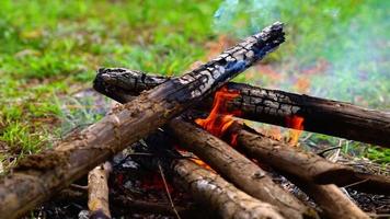 ramas ardientes en el fuego, llama brillante de la hoguera ardiente, acampando en invierno. video