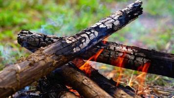 brinnande grenar i elden, ljus låga av den brinnande brasan, camping på vintern. video