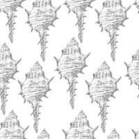 Vector illustration seamless pattern gray hand drawn seashells