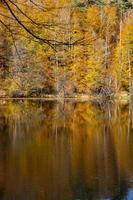 Buyuk Lake in Yedigoller National Park, Bolu, Turkey photo