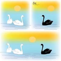 animal swans in the lake painting art vector