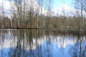 spring nature, landscape. lake and trees without foliage. Early spring photo