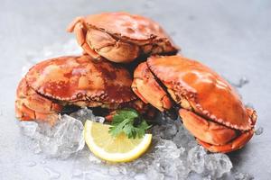 cangrejo fresco sobre hielo y limón para ensalada en el fondo del plato - cangrejos cocidos mariscos