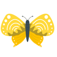 hermoso diseño de elemento de mariposa png