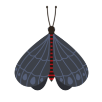 conception d'élément de beau papillon noir png