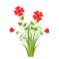 fiori di campo ed erba, bellissimi mazzi di fiori rossi di prato png