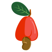 design de elemento de caju vermelho fresco png