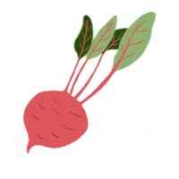 desenho de rabanete vermelho à mão livre png