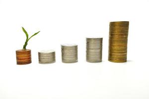 The silver and gold coins are stacked, and the green seedlings are booming. White background gives ideas for business growth, finance, savings, interest, feel wealth in life. photo