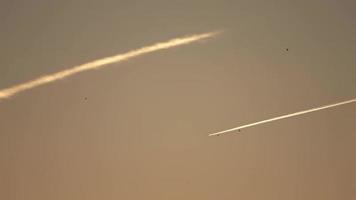 Jet airliner flying high in the sky leaving contrails with swallow brids in foreground. video