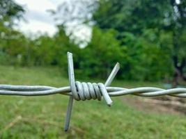 primer plano de alambre de púas, fondo borroso. concepto. barrera fronteriza antiinvasión, costura fronteriza, seguridad, sentimiento, difícil, agudo, punzante. foto