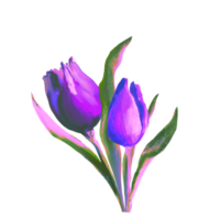 bouquet de tulipes aquarelles png