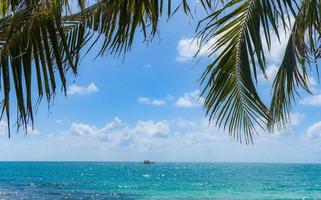 Tropical coconut leaf palm tree on the beach with sun light on blue sky sea and ocean cloud and tourist boat background - Summer vacation sea and nature travel adventure photo