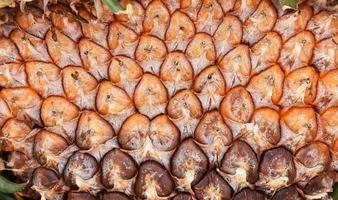 Close up of pineapple fruit texture pineapple skin background photo