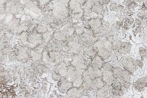 Gray wall texture background,abstract cement surface,ideas graphic design for web or banner photo