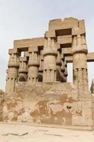 Columns in Luxor Temple, Luxor, Egypt photo