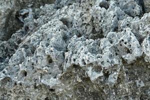 closeup gray igneous rock background photo