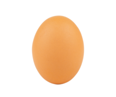 uovo di gallina, uovo png