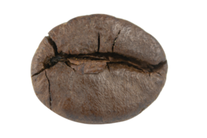 Coffee beans close up png