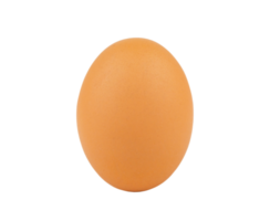 œuf de poule, œuf png