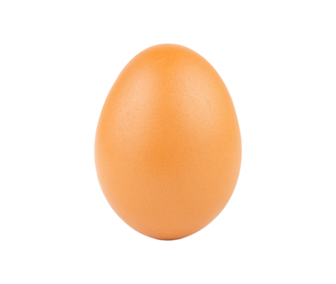 Chicken egg raw 9339329 PNG