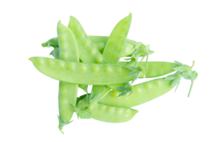 piselli zuccherati, taccole png