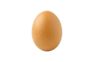 œuf de poule cru png