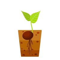Sprout of plant. Small green leaves. Sprouted seed. Farm and gardening. Planting of crop in ground. Layer of brown earth and soil. vector