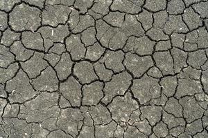 Dry soil and pebbles cracking pattern photo