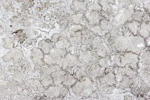Gray wall texture background,abstract cement surface,ideas graphic design for web or banner photo