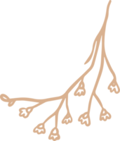 limonium blommig illustration för märken och logotyp. stämpeletiketter för tagg med isolerade limoniumblomma. handritad naturlig för enkel rustik designelement. png